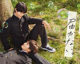 绍兴网站优化怎么做好